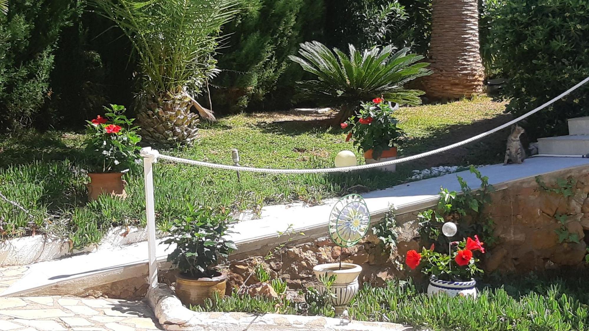 Ferienwohnung Mit Privat-Pool Alcoceber ภายนอก รูปภาพ