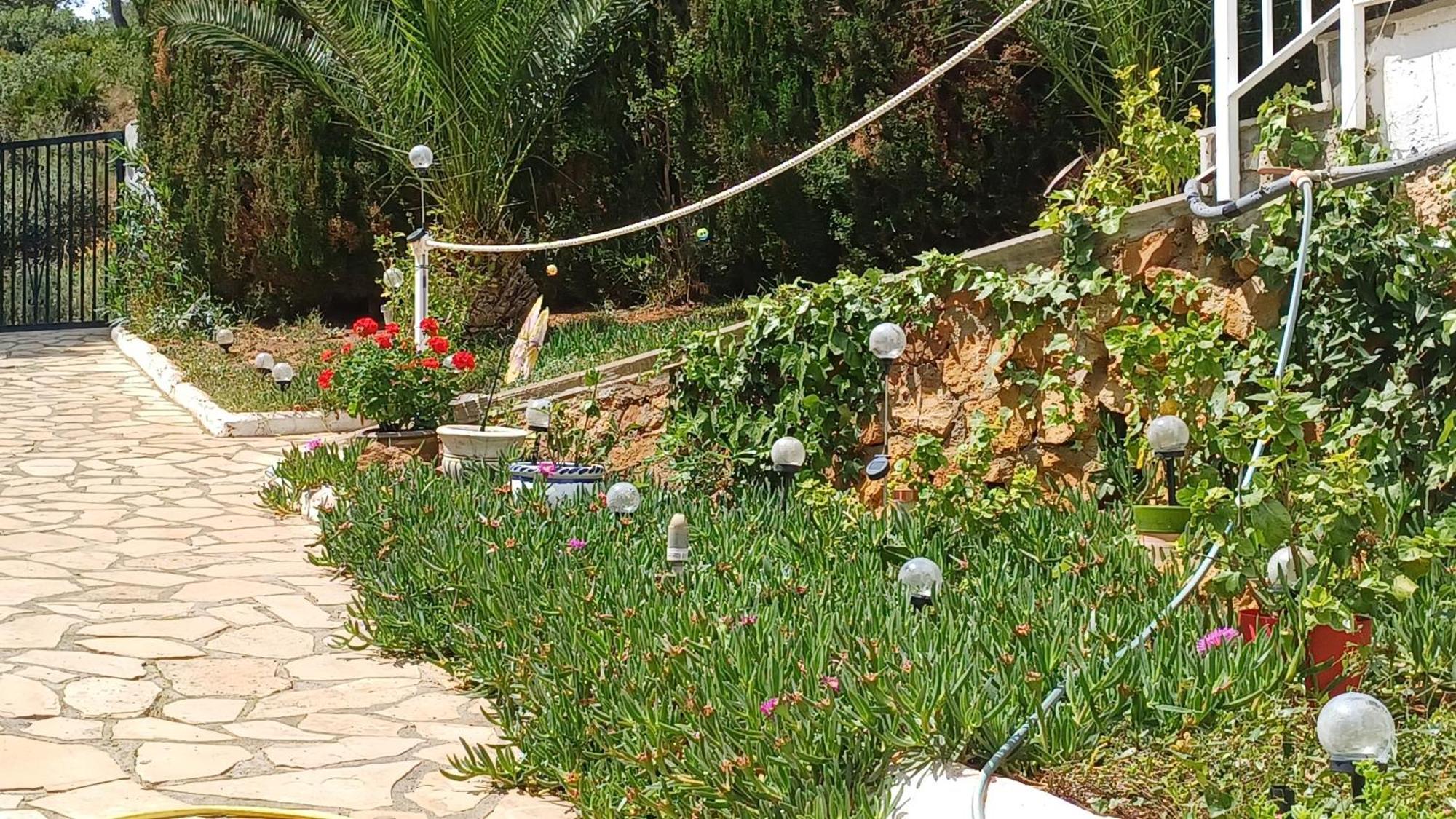 Ferienwohnung Mit Privat-Pool Alcoceber ภายนอก รูปภาพ