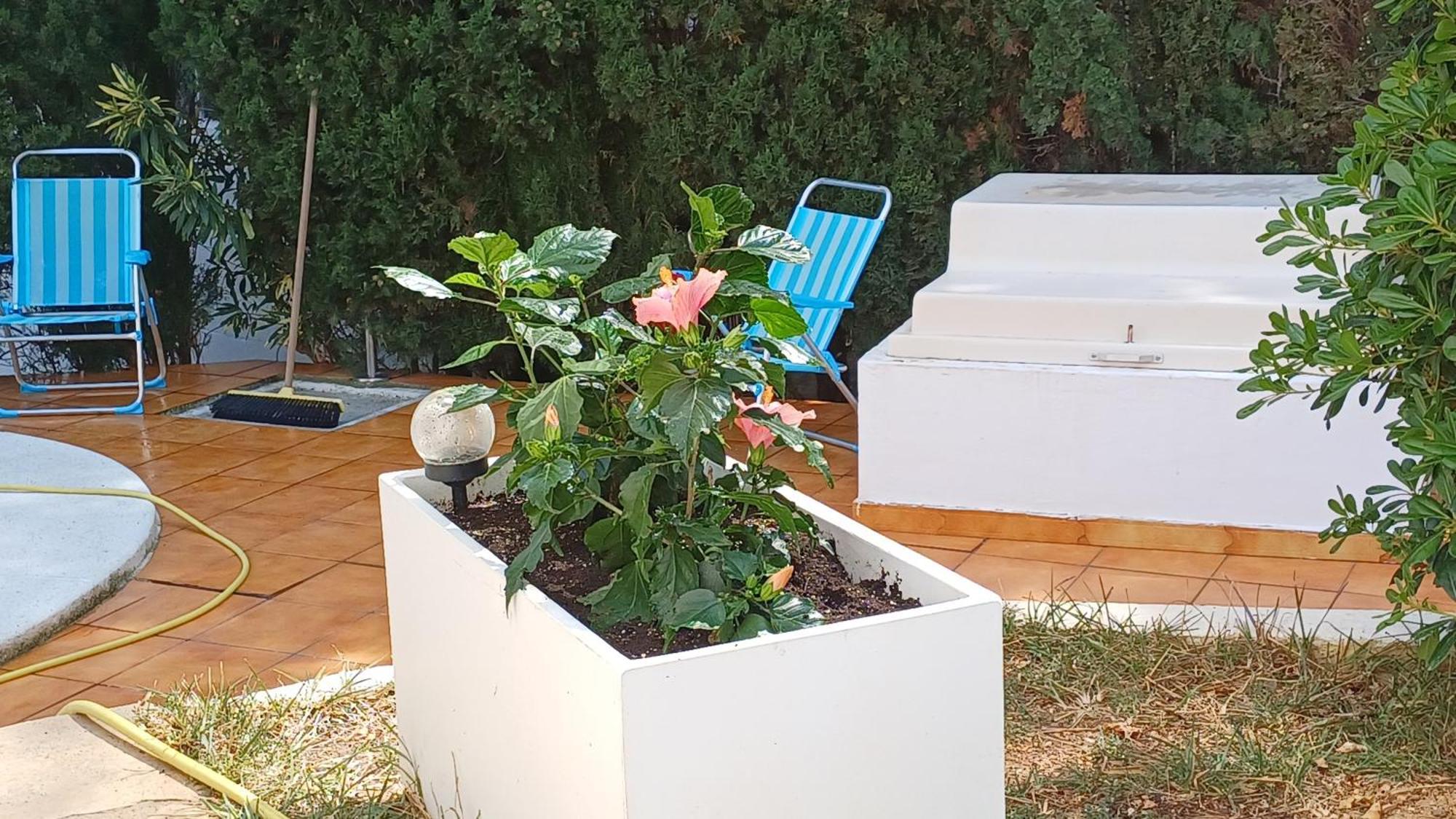Ferienwohnung Mit Privat-Pool Alcoceber ภายนอก รูปภาพ